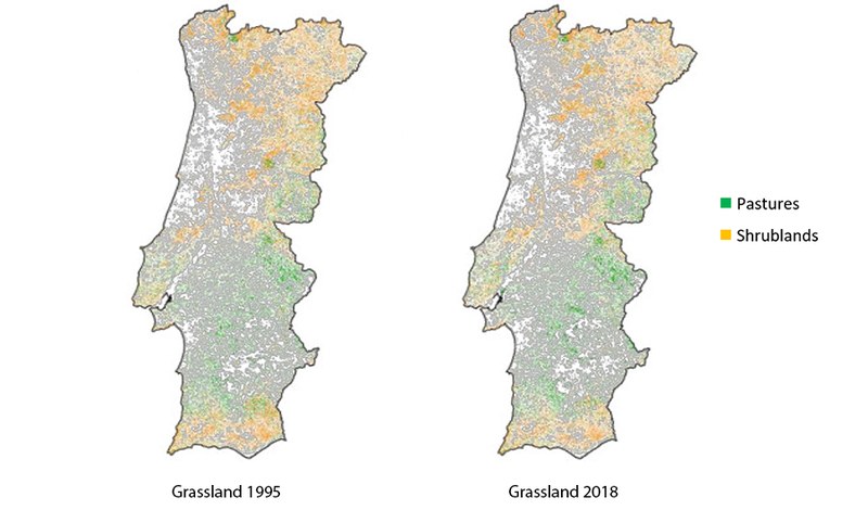 figure 32.jpg