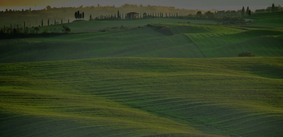 Case study: National portal in Italy