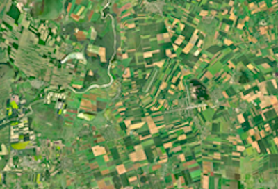 Conference: Earth observation for monitoring, reporting and verification of carbon removals 2024
