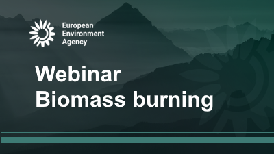 GHG emissions from Biomass burning: status and options for improvement