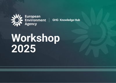 LULUCF workshop 2025