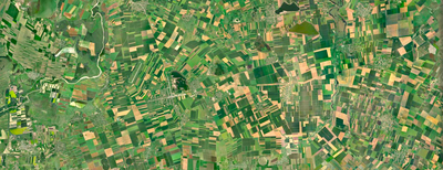 Conference: Earth observation for monitoring, reporting and verification of carbon removals
