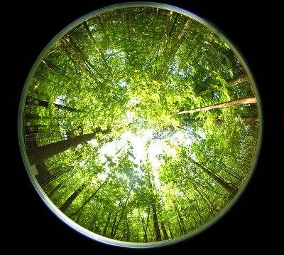 Webinar: What are the benefits of circular economy?