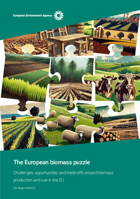 The European biomass puzzle