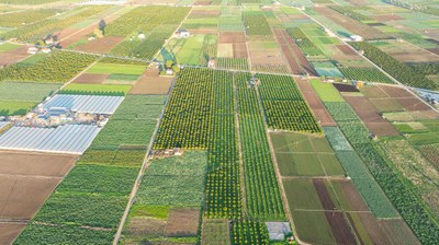 Climate-resilient agriculture may benefit farmers’ incomes