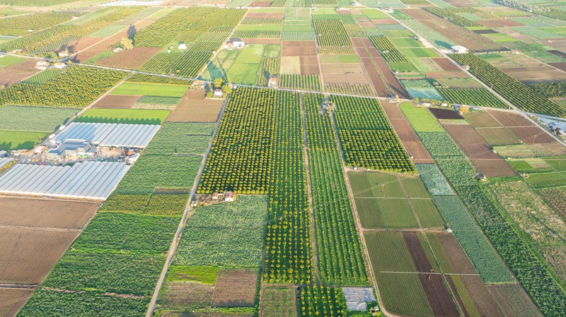 المناخ-resilient agriculture may benefit farmers’ incomes