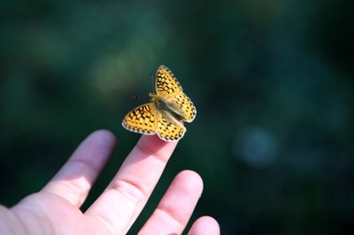 EEA launches 'Our environment : Our future' campaign
