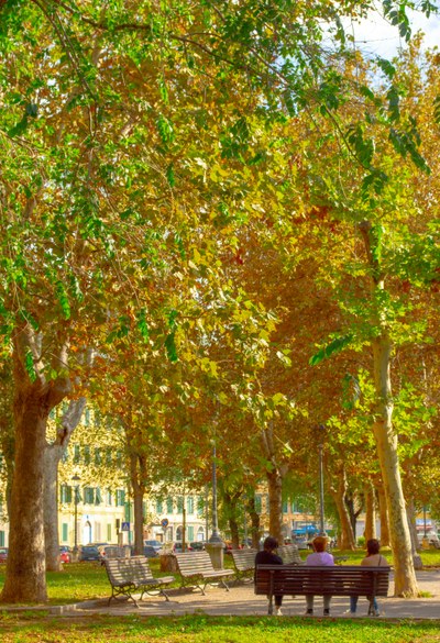 Europe’s adaptation policies advance, but stronger action is needed to address growing climate risks