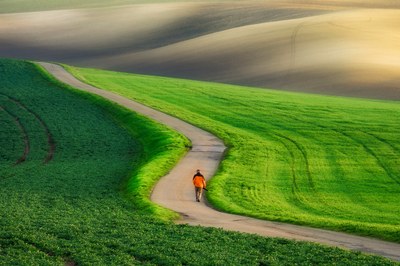 Exposure to pollution linked to depression, anxiety and other mental health issues