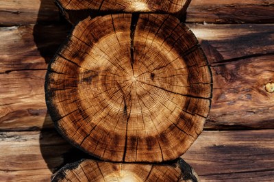 The benefits to biodiversity of a strong circular economy
