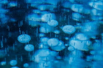 Methane emissions in the EU: the key to immediate action on climate change