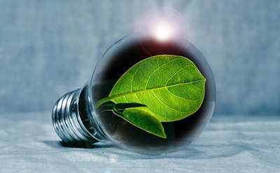 Financing nature as a solution