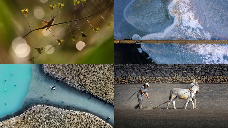 Public and jury chose the winning images of “Environment&Me 2025” photo ...