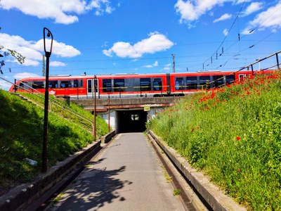 Rail offers a major opportunity for Europe to cut transport emissions, as road transport still dominates