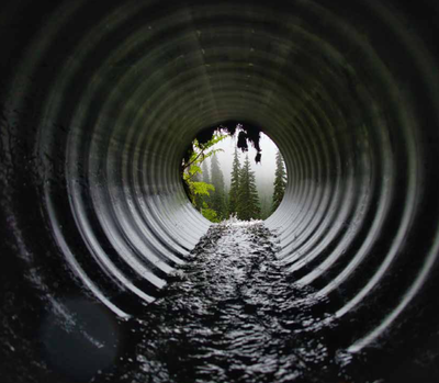 Beyond water quality