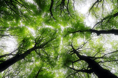 Imagining sustainable futures for Europe