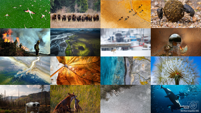 Vote now to pick the winner of Public Choice Award 2026 in our photo competition