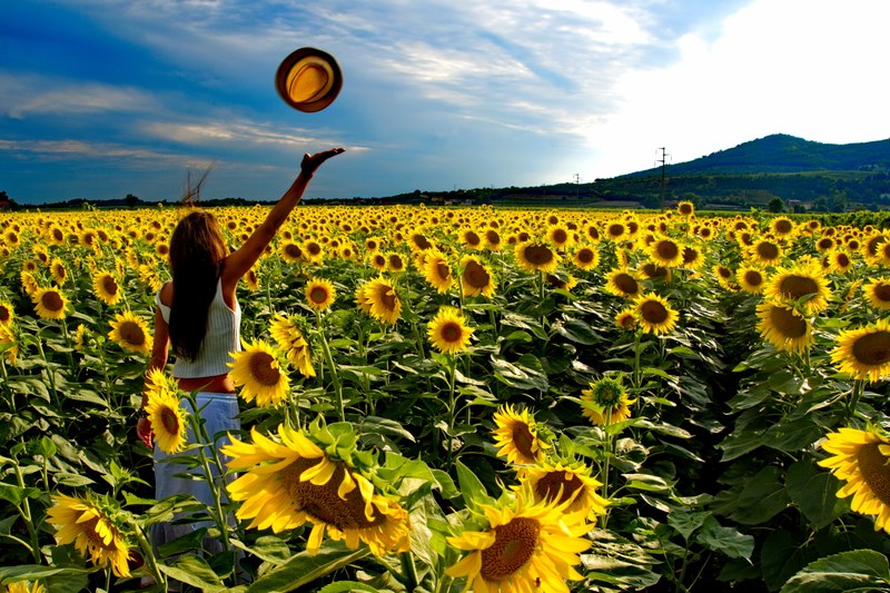 Environment And Me Environment&Me — EEA photo competition 2025 | Photo competitions ...