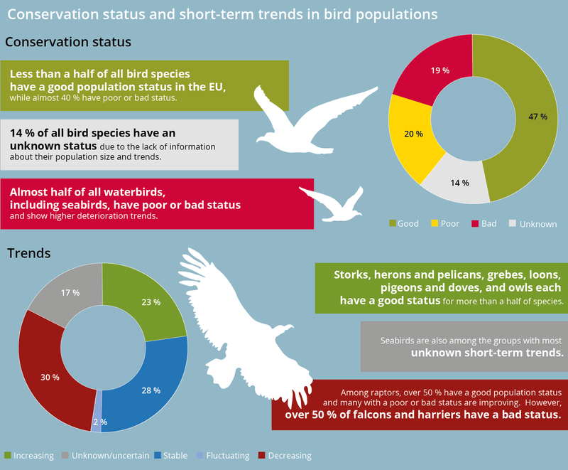 Alt text: Infographic showing the conservation status and short-term trends of various European bird taxa. Long description: The infographic is split roughly into two halves, with information about conservation status making up the top half and information about trends making up the bottom half. In the top half, we see three colored boxes with text on the left side, white silhouettes of seabirds in the middle, and a pie chart depicting the relative proportions of birds with good (47%), poor (20%), bad (19%), and unknown (14%) conservation status. The text in the boxes reads, from top box to bottom: 1. Less than half of all bird species have a good population status in the EU, while almost 40% have poor or bad status. 2. 14% of all bird species have an unknown status due to the lack of information about their population sizes and trends. 3. Almost half of all waterbirds, including seabirds, have poor or bad status and show higher deterioration trends. The bottom half mirrors the top half, with 3 text boxes on the right, a silhouette of a buzzard in the middle, and a pie chart on the left. The pie chart depicts the population trends of European birds. 23% are increasing, 28% are stable, 2% are unknown, 30% are decreasing, and 17% are fluctuating. The text in the boxes reads, from top box to bottom: 1. Storks, herons and pelicans, grebes, loons, pigeons and doves, and owls each have a good status for more than half of species. 2. Seabirds are also among the groups with the most unknown short-term trends. 3. Among raptors, over 50% have a good population status and many with a poor or bad status are improving. However, over 50% of falcons and harriers have a bad status.
