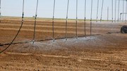 El agua en la agricultura