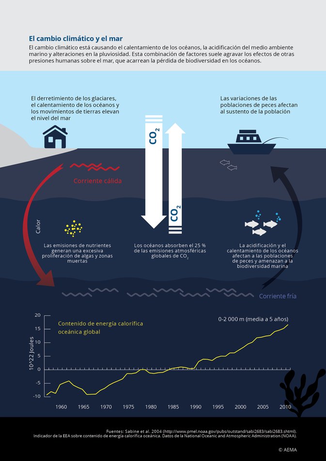 El cambio climático está causando el calentamiento de los océanos, la acidificación del medio ambiente marino y alteraciones en la pluviosidad. Esta combinación de factores suele agravar los efectos de otras presiones humanas sobre el mar, que acarrean la pérdida de biodiversidad en los océanos.