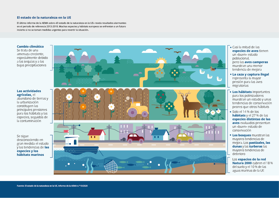 El último informe de la AEMA sobre «El estado de la naturaleza en la UE» revela resultados alarmantes 
en el periodo de referencia 2013-2018. Muchas especies y hábitats europeos se enfrentan a un futuro 
incierto si no se toman medidas urgentes para revertir la situación.