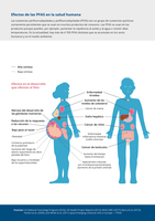Efectos de las PFAS en la salud humana