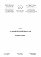 Aruanne Euroopa Keskkonnaagentuuri 2008. eelarveaasta raamatupidamise aastaaruande kohta