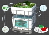 Aquaponics