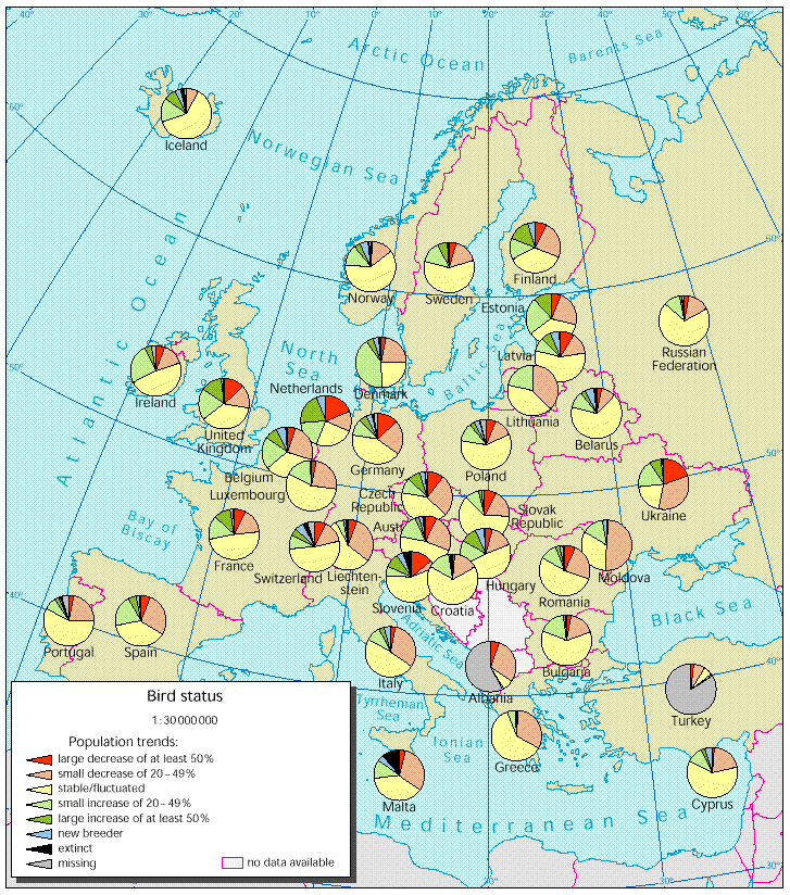 Lintukantojen kehitys