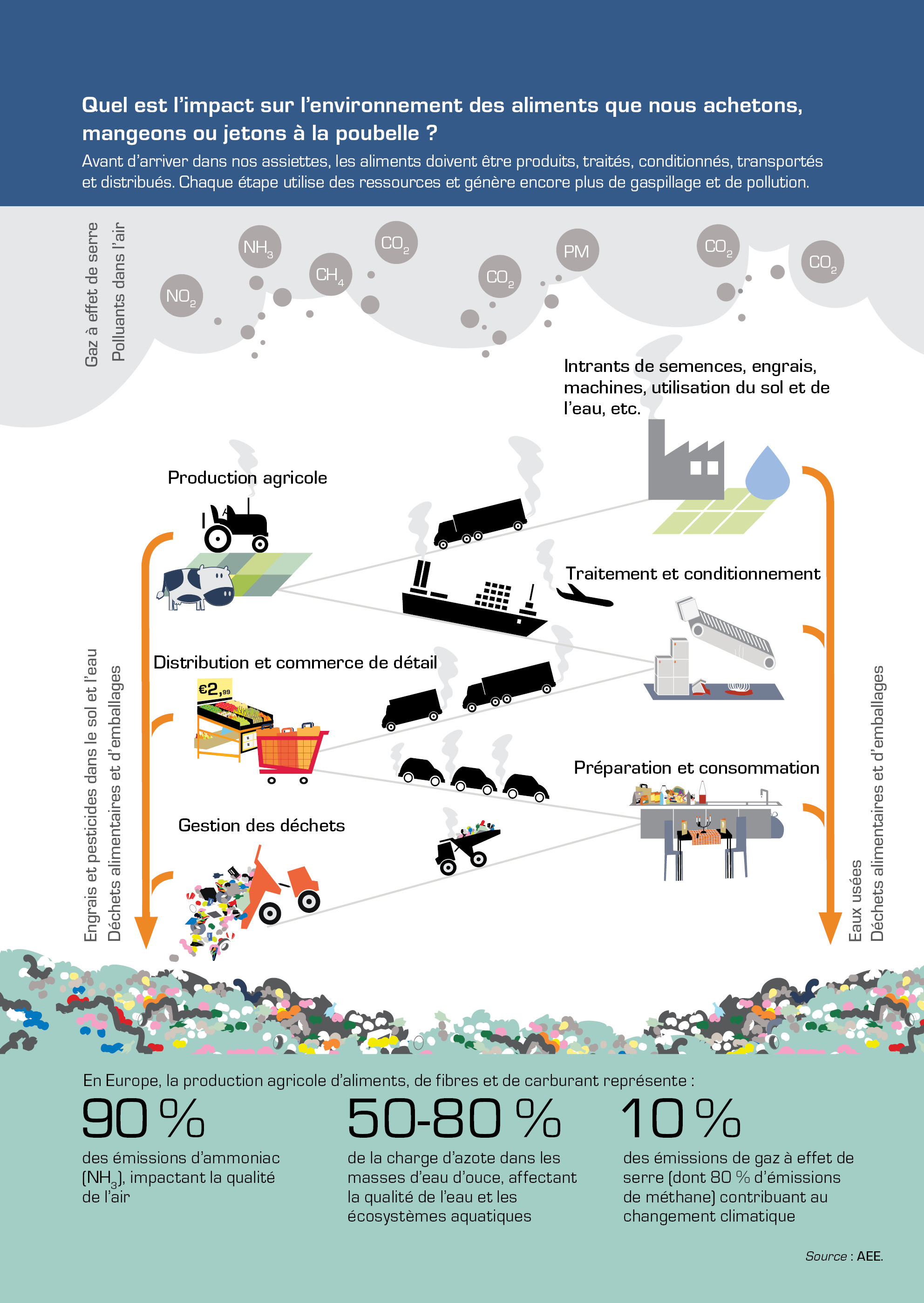 Quel est l’impact sur l’environnement des aliments que nous achetons, mangeons ou jetons à la poubelle ?