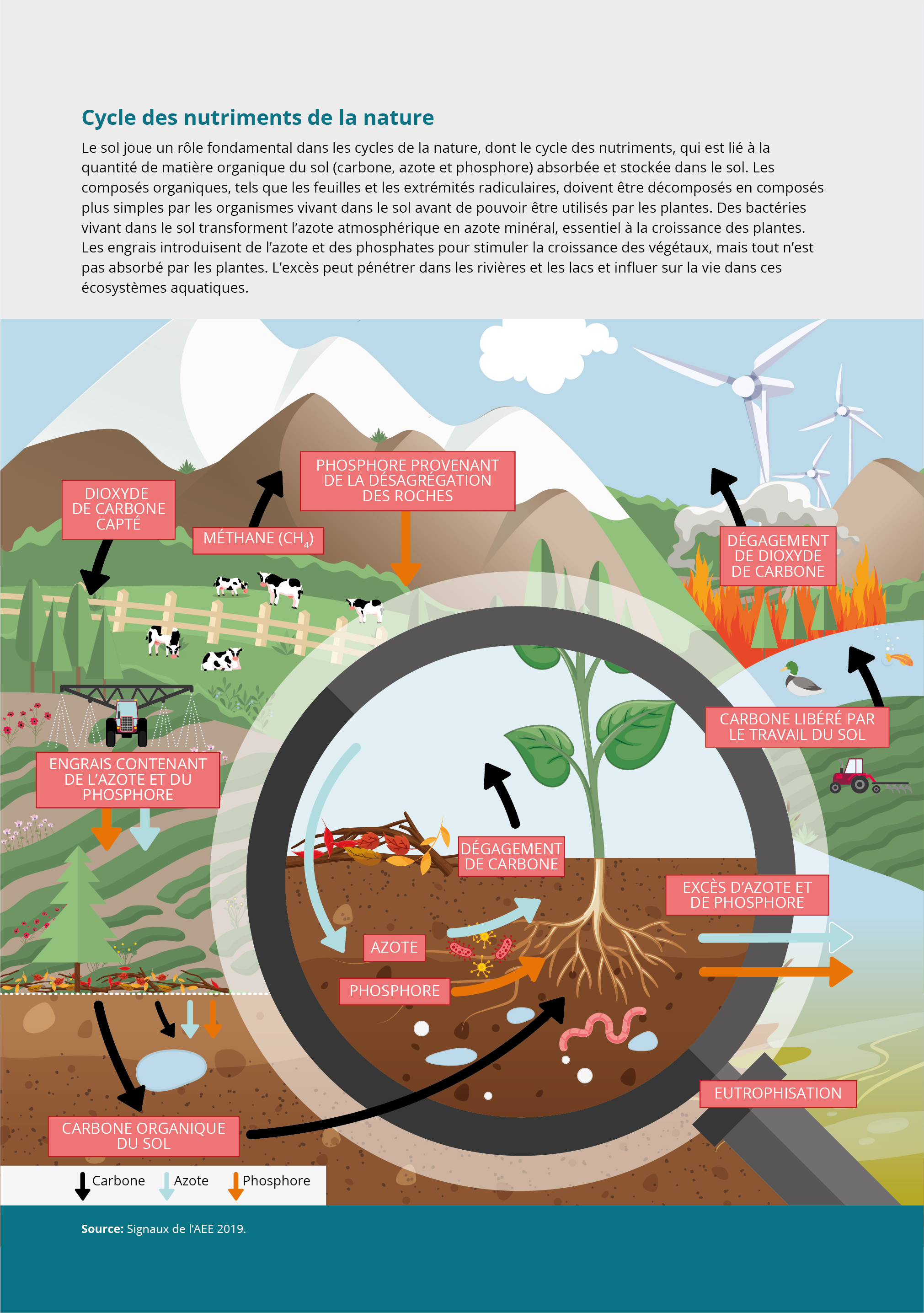 Cycle des nutriments de la nature — Agence européenne pour l'environnement