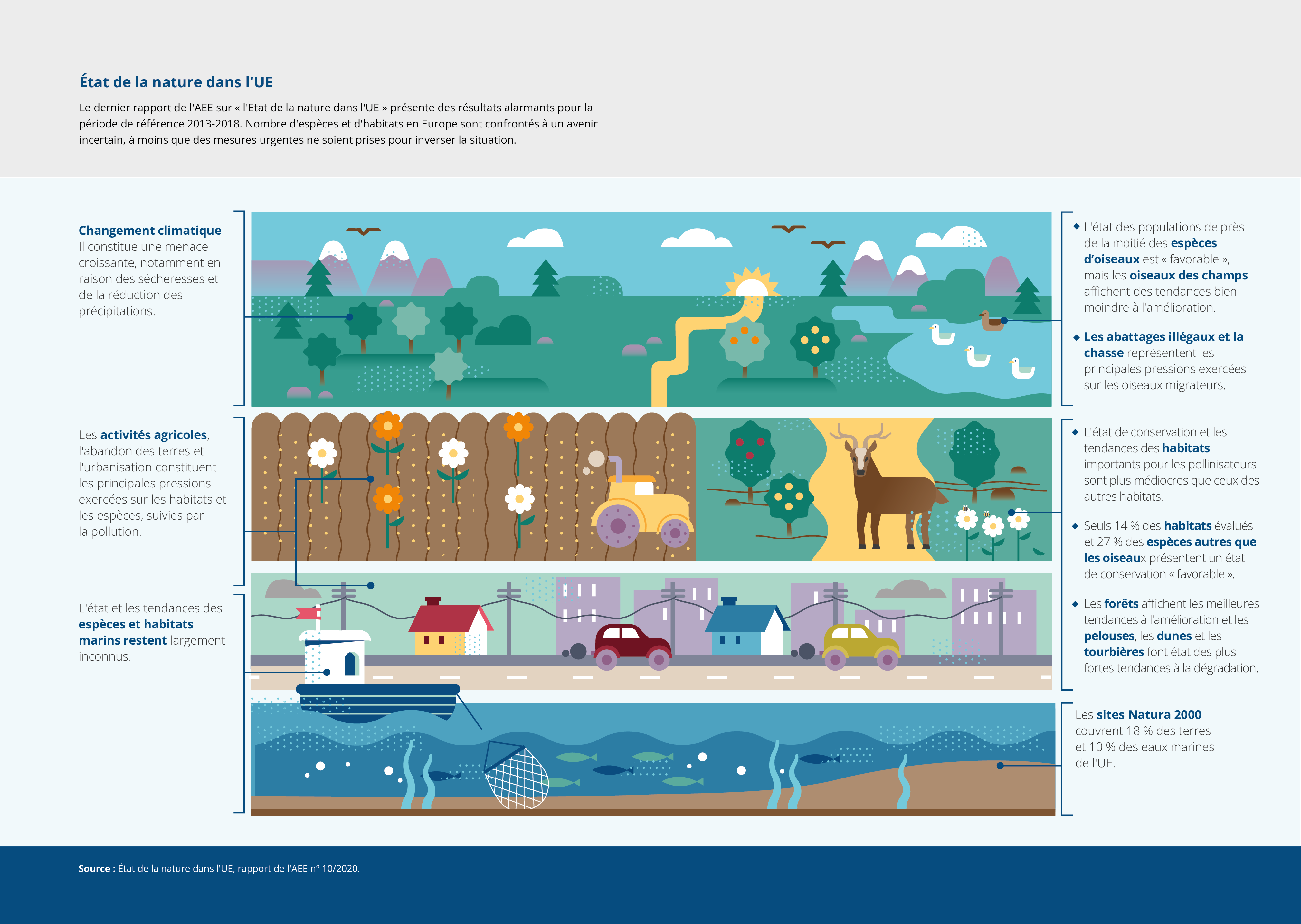 Le dernier rapport de l'AEE sur « l'Etat de la nature dans l'UE » présente des résultats alarmants pour la période de référence 2013-2018. Nombre d'espèces et d'habitats en Europe sont confrontés à un avenir incertain, à moins que des mesures urgentes ne soient prises pour inverser la situation.