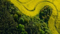 La pollution des sols et des terres : généralisée, nocive et croissante