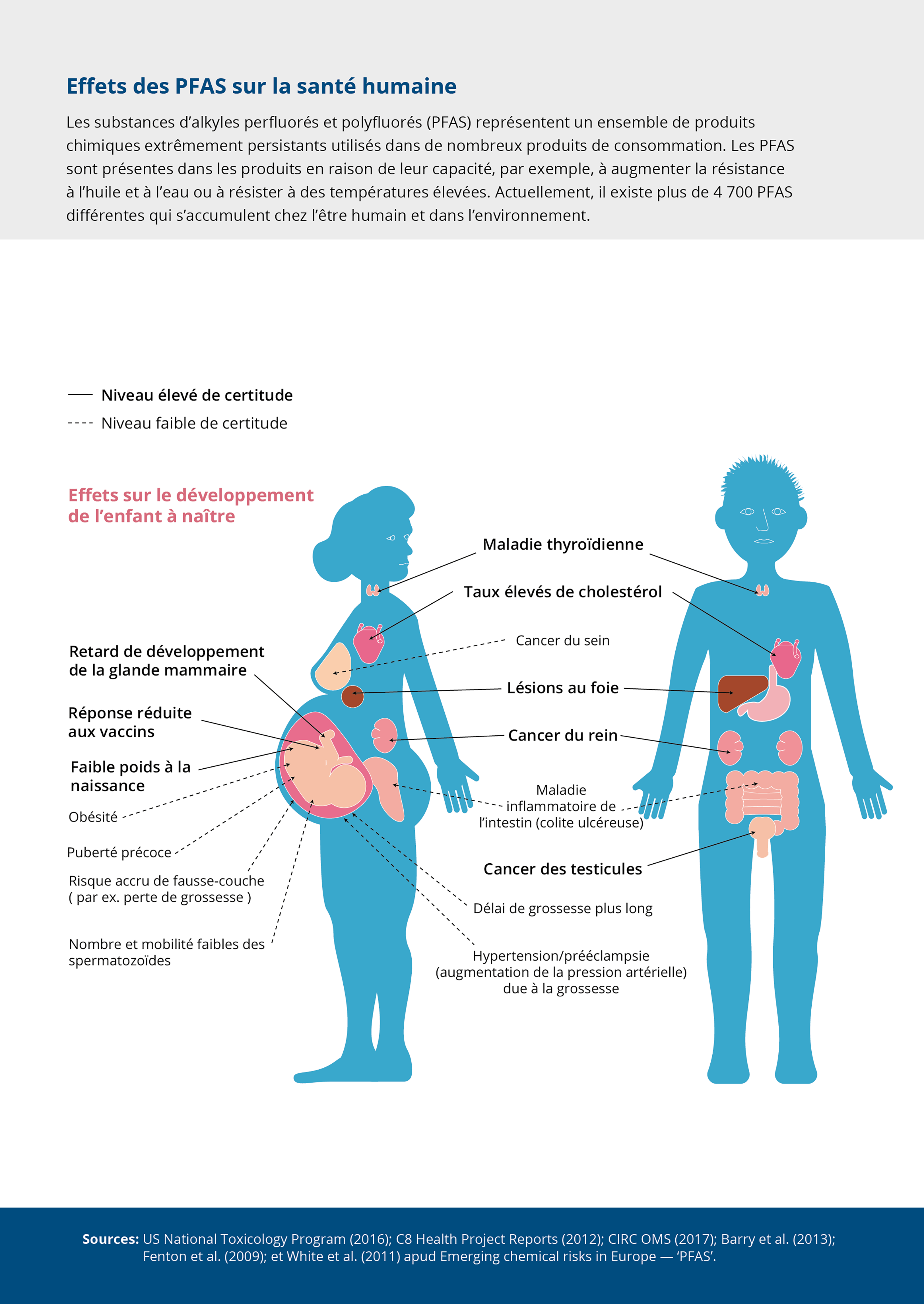 Quels Sont Les Effets Des PFAS Sur Le Corps ?