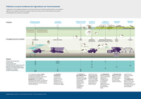 Pollution et autres incidences de l’agriculture sur l’environnement 