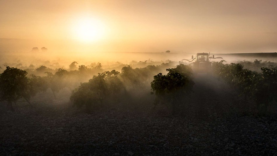 Ammonia emissions from agriculture continue to pose problems for Europe 