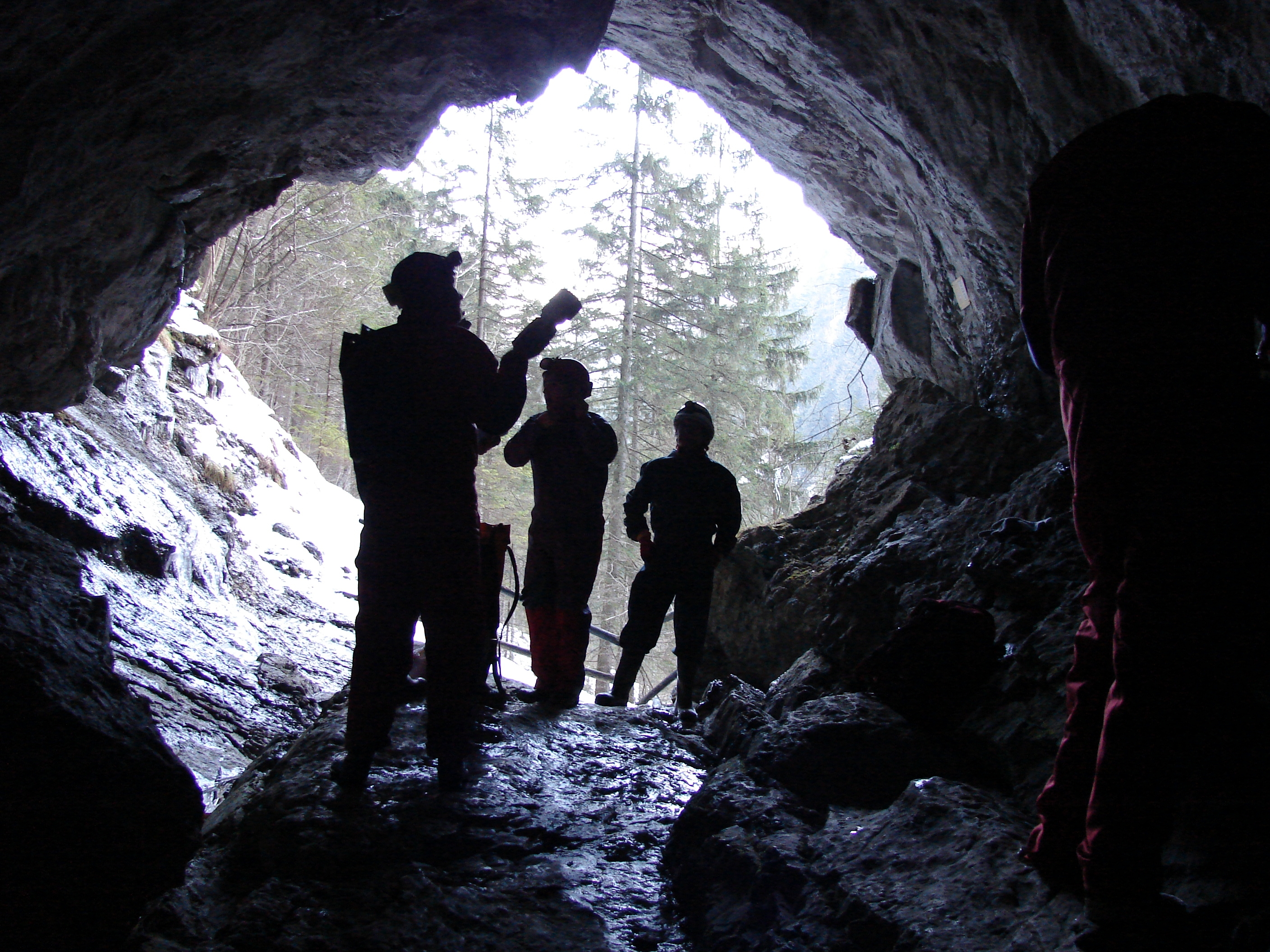 Surveyors searching for hibernating bats (Simone Pysarczuk)