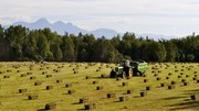 Better integration of land use impacts needed across EU policies