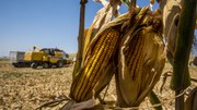 Climate change threatens future of farming in Europe 