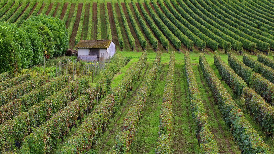 Competing demands on Europe's environment undermining ...