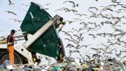 European hazardous waste management improving, but its prevention needs attention