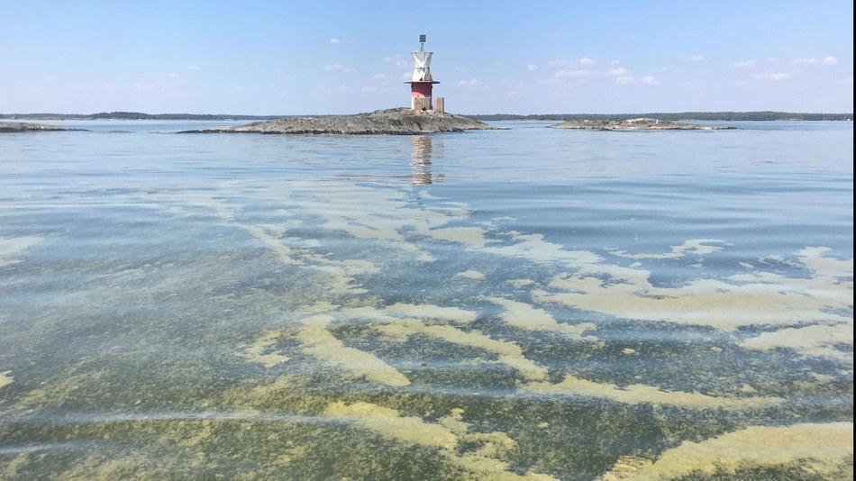 Eutrophication remains a major problem for Europe’s seas despite some progress