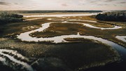 Healthy floodplains have a key role to play in improving our environment