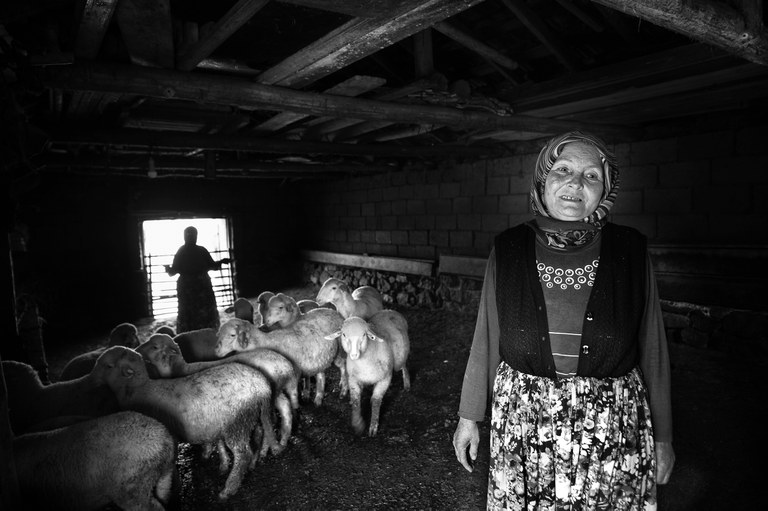 Sustainable food: ‘Sheep carers’ by Adil Emektar