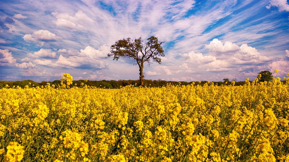 Moving towards zero pollution in Europe 