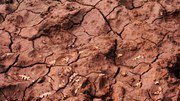 Not just dirt: the importance of soil