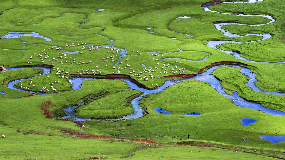 Restoring floodplains would improve state of water, ecosystems and climate protection in Europe