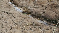 Water stress is a major and growing concern in Europe
