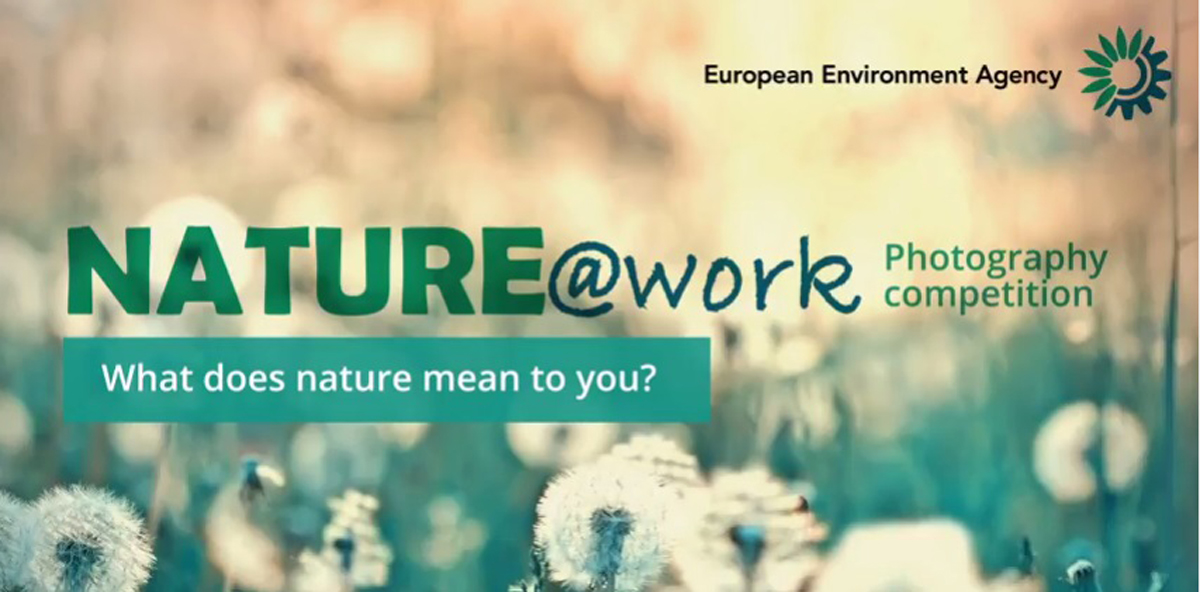 Nature работа. Nature work. European environment Agency. Works about nature. By nature meaning.
